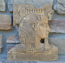 Load image into Gallery viewer, Egyptian King Tut Cameo Fragment Sculptural wall relief plaque www.Neo-Mfg.com 11&quot; h14
