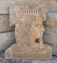 Load image into Gallery viewer, Egyptian King Tut Cameo Fragment Sculptural wall relief plaque www.Neo-Mfg.com 11&quot; h14

