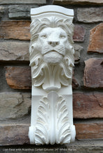 Load image into Gallery viewer, Animal Lion Face with Acanthus Corbel Column plaque Fragment relief www.Neo-Mfg.com 14&quot; each
