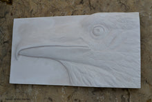 Load image into Gallery viewer, Animal Raven bird Sculptural wall relief nature carving tile plaque www.Neo-Mfg.com 17&quot;
