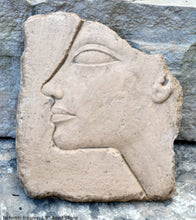 Load image into Gallery viewer, History Egyptian Nefertiti fragment Plaque Artifact Sculpture 9&quot; www.Neo-Mfg.com museum reproduction d11
