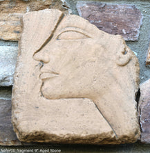 Load image into Gallery viewer, History Egyptian Nefertiti fragment Plaque Artifact Sculpture 9&quot; www.Neo-Mfg.com museum reproduction d11
