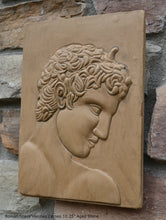 Load image into Gallery viewer, Roman Greek Hermes Cameo Sculptural wall relief plaque www.Neo-Mfg.com 10.25&quot; home decor d21

