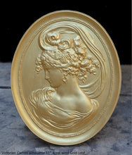 Load image into Gallery viewer, Victorian Cameo silhouette West wind Sculpture wall Plaque Bas relief 11&quot; www.Neo-Mfg.com left face Bottee 1889 world fair m20a
