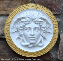 Load image into Gallery viewer, History Medusa Artifact Carved wall plaque Sculpture Statue 8&quot; www.Neo-Mfg.com high relief
