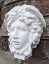 Load image into Gallery viewer, Medusa Bust design Artifact Carved Sculpture Statue 9&quot; www.Neo-Mfg.com
