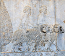 Load image into Gallery viewer, Historical Assyrian wall Sculpture www.Neo-Mfg.com 12&quot; Mesopotamia
