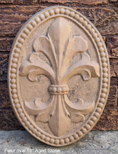 Load image into Gallery viewer, Decor Oval FLEUR De Lis tuscan art wall sculpture plaque 16&quot; www.NEO-MFG.com
