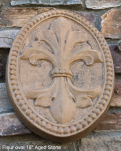 Load image into Gallery viewer, Decor Oval FLEUR De Lis tuscan art wall sculpture plaque 16&quot; www.NEO-MFG.com
