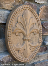 Load image into Gallery viewer, Decor Oval FLEUR De Lis tuscan art wall sculpture plaque 16&quot; www.NEO-MFG.com
