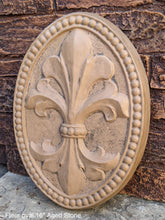 Load image into Gallery viewer, Decor Oval FLEUR De Lis tuscan art wall sculpture plaque 16&quot; www.NEO-MFG.com
