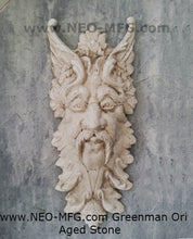 Load image into Gallery viewer, Nature Garden Greenman ORI n Sculpture Plaque 20&quot; Neo-Mfg
