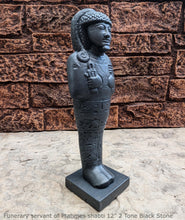 Load image into Gallery viewer, Egyptian Funerary servant of Ptahmes shabti Artifact Carved Sculpture Statue 12&quot; www.Neo-Mfg.com Museum Reproduction
