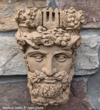 Load image into Gallery viewer, Roman Greek Neptune Face Wall Mythical Plaque Sculptural relief www.Neo-Mfg.com 6&quot; Customs House Dublin
