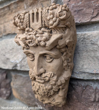 Load image into Gallery viewer, Roman Greek Neptune Face Wall Mythical Plaque Sculptural relief www.Neo-Mfg.com 6&quot; Customs House Dublin
