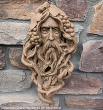 Load image into Gallery viewer, Nature Garden Greenman Grape Harvest Sculptural wall relief bust www.Neo-Mfg.com 13.75&quot;
