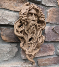 Load image into Gallery viewer, Nature Garden Greenman Grape Harvest Sculptural wall relief bust www.Neo-Mfg.com 13.75&quot;
