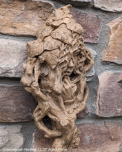 Load image into Gallery viewer, Nature Garden Greenwoman Harvest Sculptural wall relief bust www.Neo-Mfg.com 12.25&quot;
