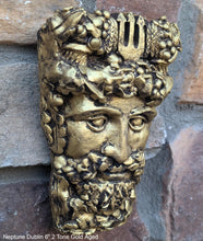 Load image into Gallery viewer, Roman Greek Neptune Face Wall Mythical Plaque Sculptural relief www.Neo-Mfg.com 6&quot; Customs House Dublin
