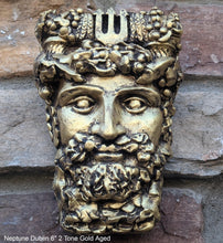 Load image into Gallery viewer, Roman Greek Neptune Face Wall Mythical Plaque Sculptural relief www.Neo-Mfg.com 6&quot; Customs House Dublin
