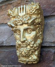 Load image into Gallery viewer, Roman Greek Neptune Face Wall Mythical Plaque Sculptural relief www.Neo-Mfg.com 6&quot; Customs House Dublin
