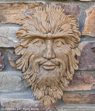 Load image into Gallery viewer, Green Man Leaf Face 14&quot; Tree Man Mythical wall Sculpture Mask Wall Plaque Vintage sculpture 14&quot; www.Neo-Mfg.com
